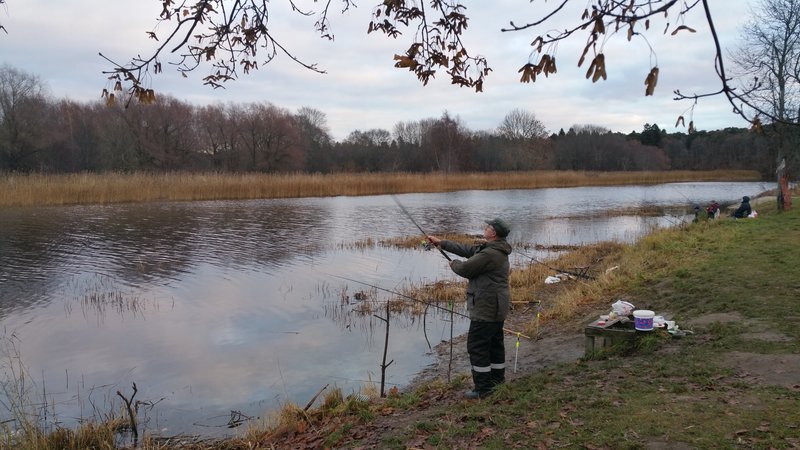 20151110_152935.jpg
