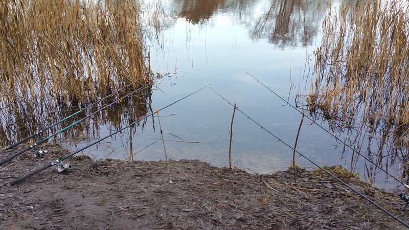 20151113_143136.jpg