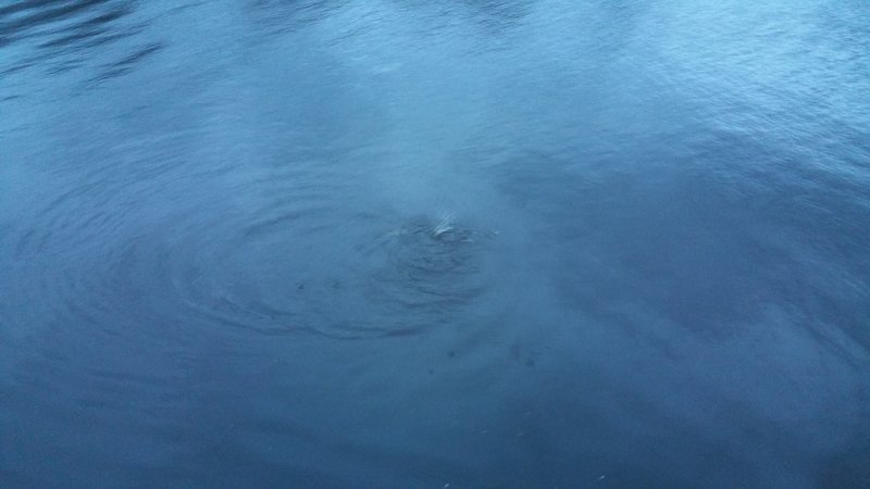 20151206_153547.jpg