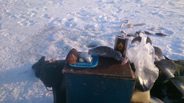 Дипую.