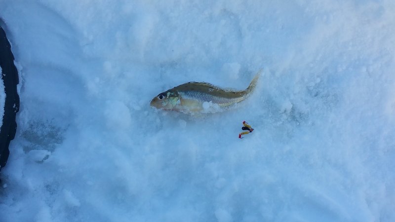 20160116_133355.jpg