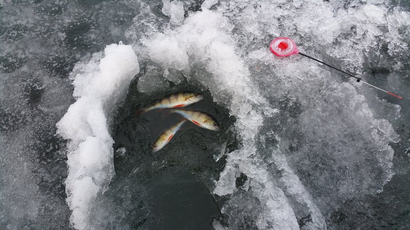 20160130_144128.jpg