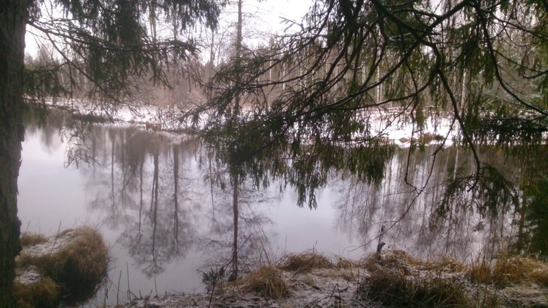 IMG-20160204-WA0000.jpg