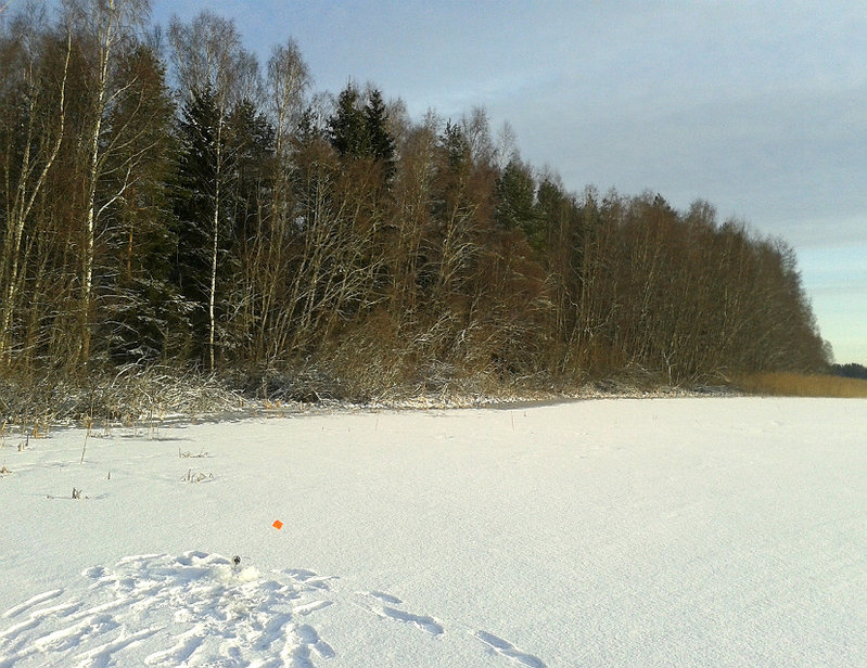 20160206_095023.jpg