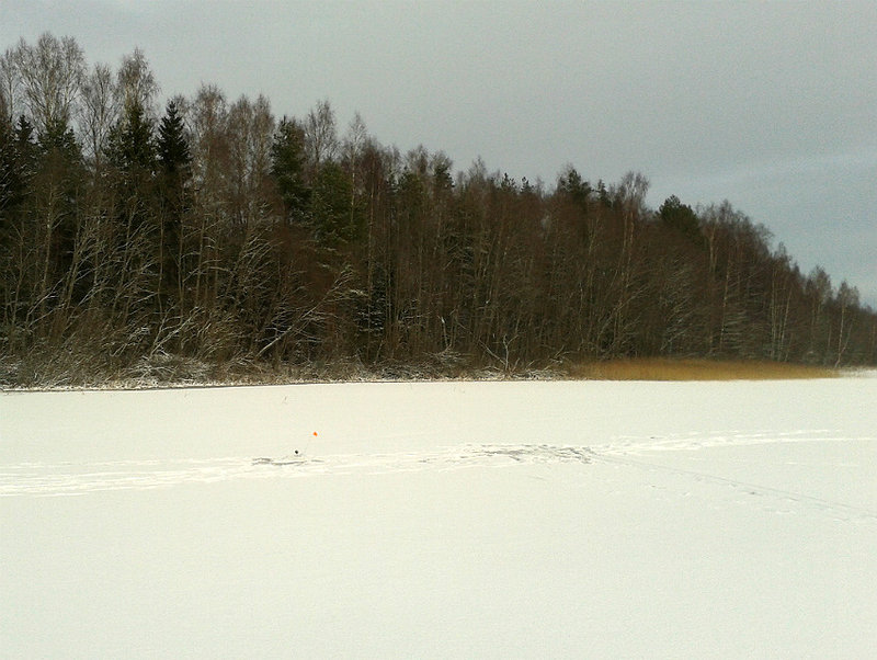 20160206_122528.jpg