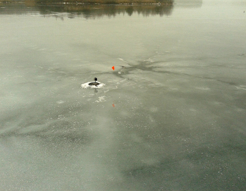 20160207_115551.jpg