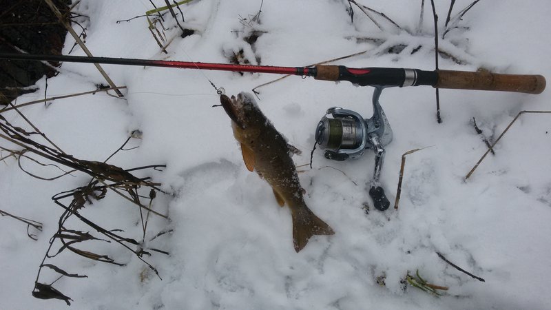 20160214_121040.jpg