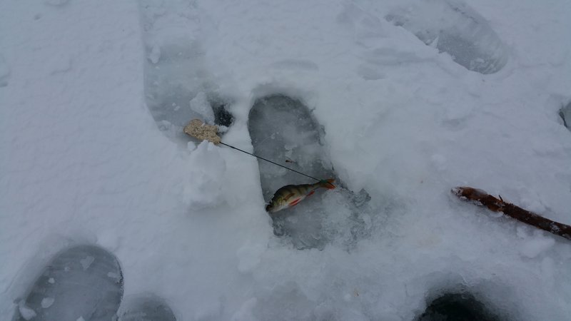 20160221_112714.jpg