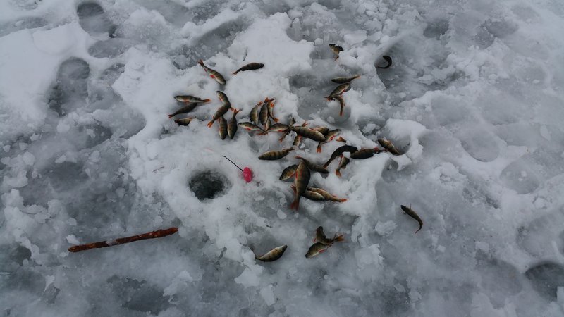 20160221_153053.jpg