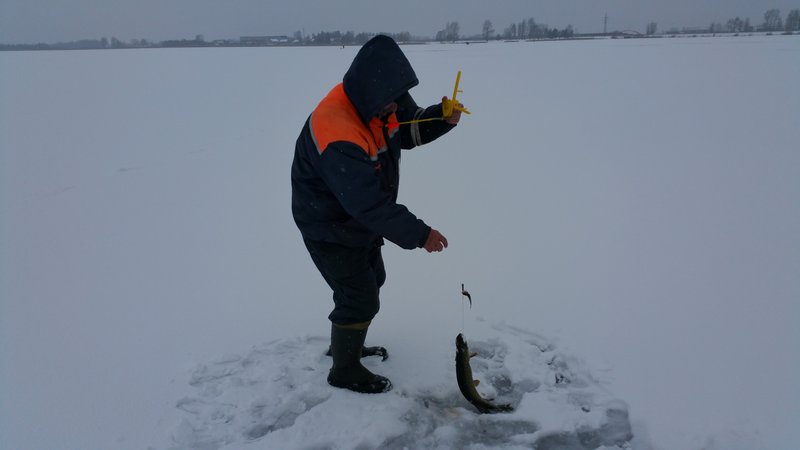 20160221_140949.jpg
