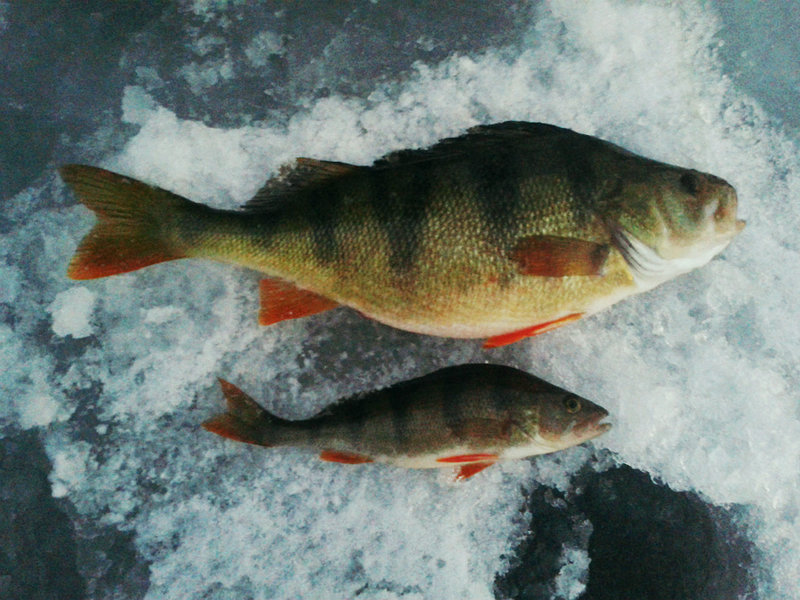 20160224_180626.jpg