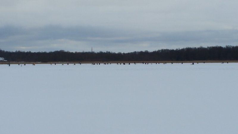 20160228_101011.jpg
