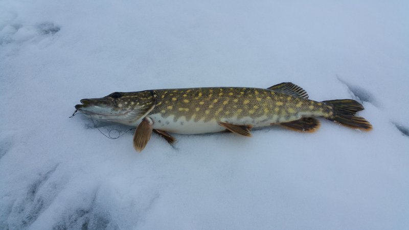 20160228_153151.jpg