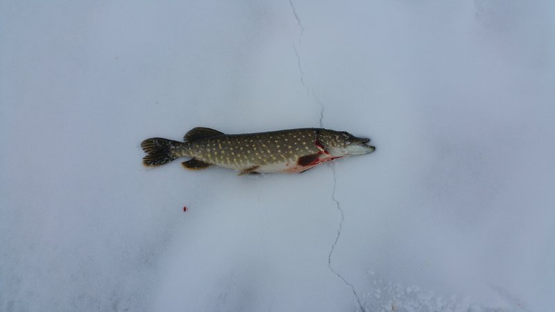 20160306_152655.jpg
