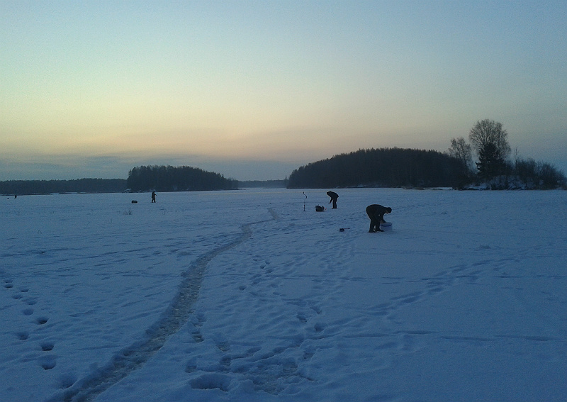 20160312_064247.jpg