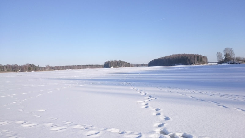 DSC_01451.jpg