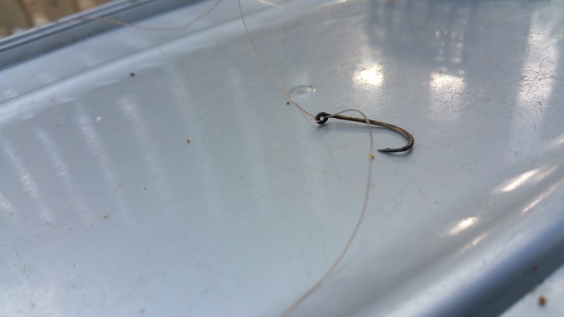20160318_154748.jpg
