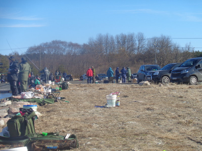 DSC06335.JPG