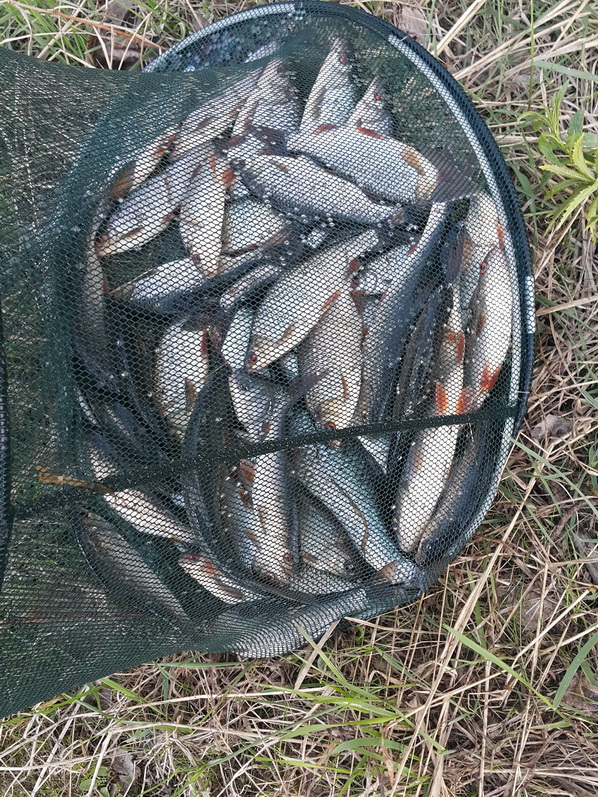20160430_172025.jpg