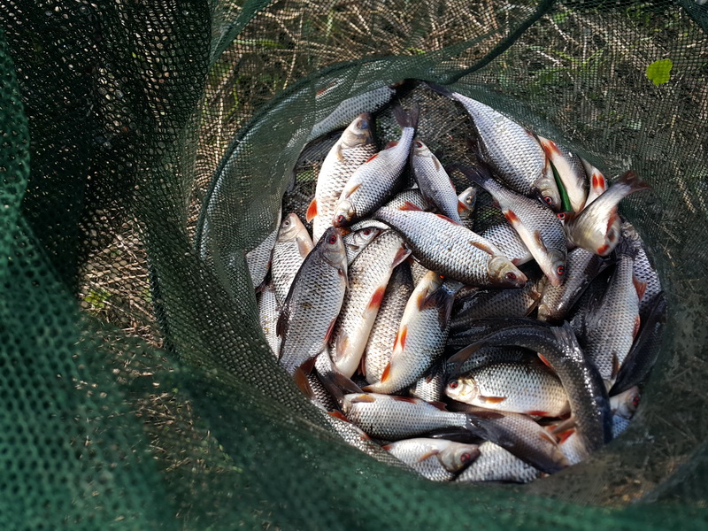 20160430_162254.jpg