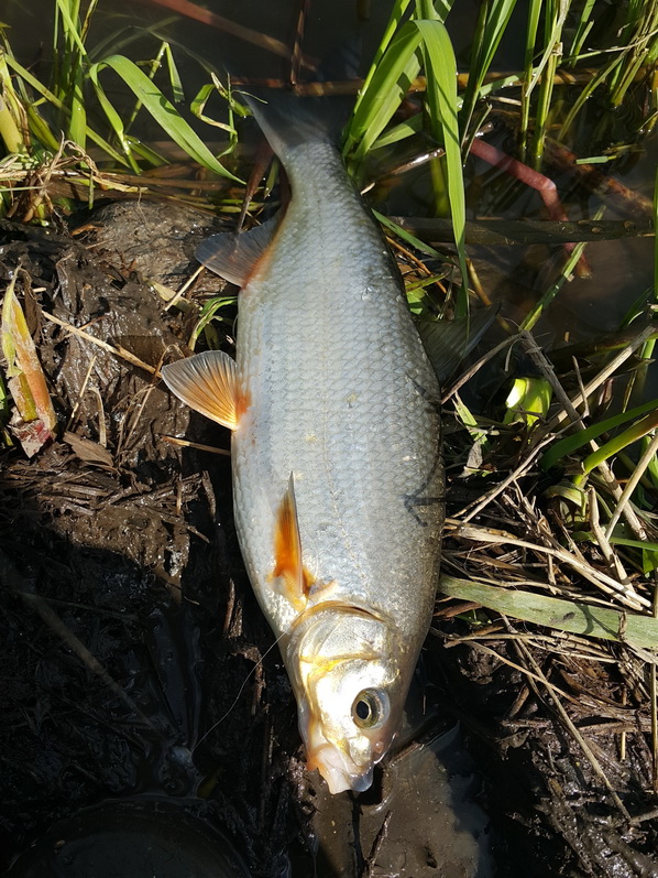 20160513_162254.jpg