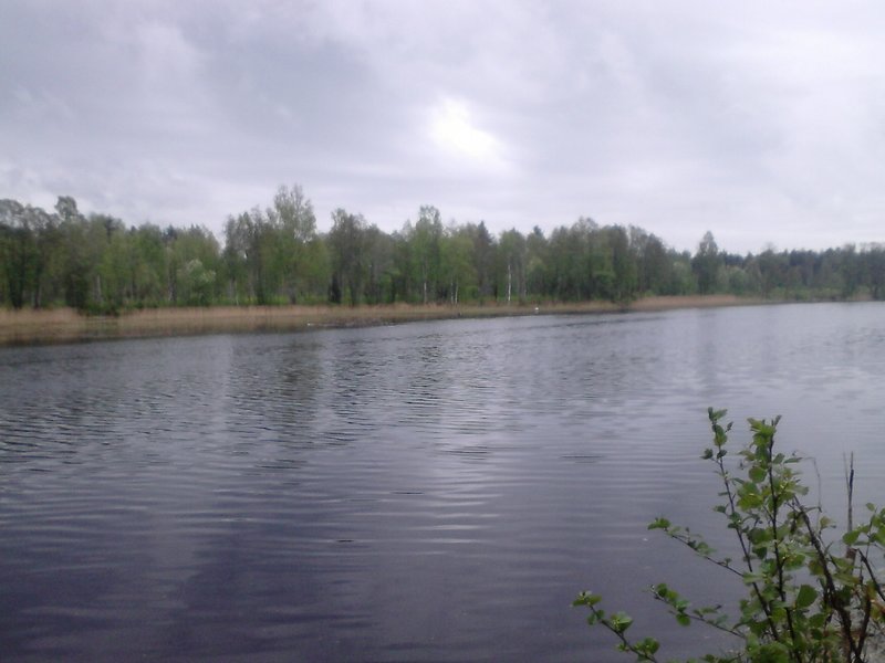 DSC_0034.jpg