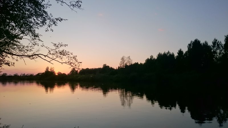 DSC_0711.JPG
