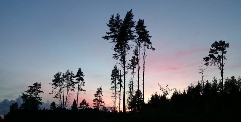 DSC_3717.JPG