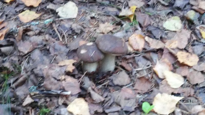 20160820_135423.jpg