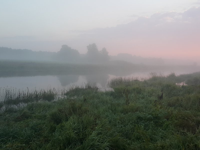 20160820_061921.jpg