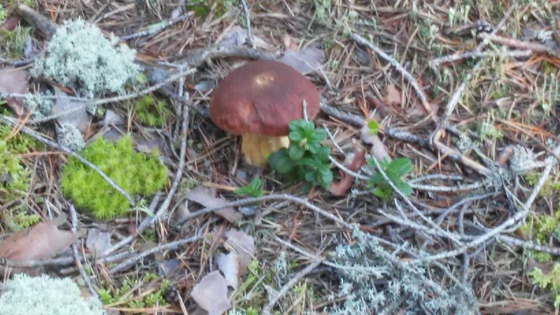 20160820_085841.jpg