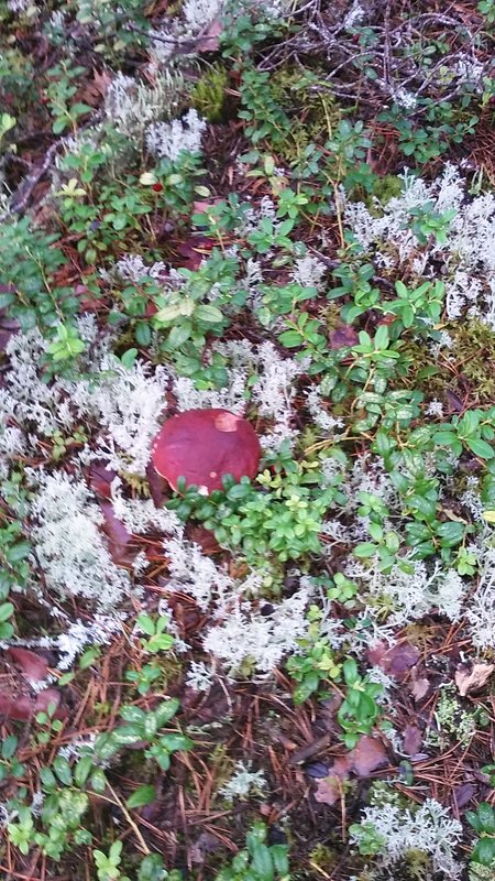 20160824_072251.jpg