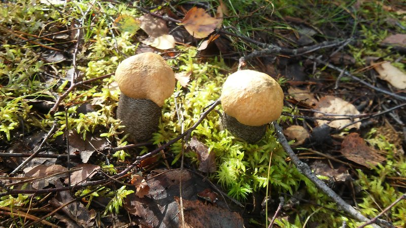20160824_100225.jpg