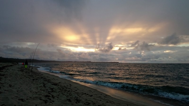 DSC_3796.JPG