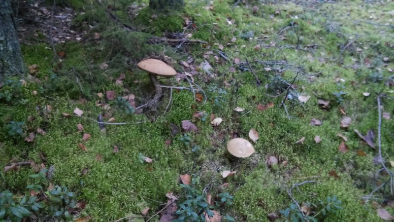 20160914_074632.jpg
