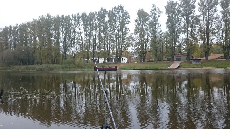 DSC_0061.JPG