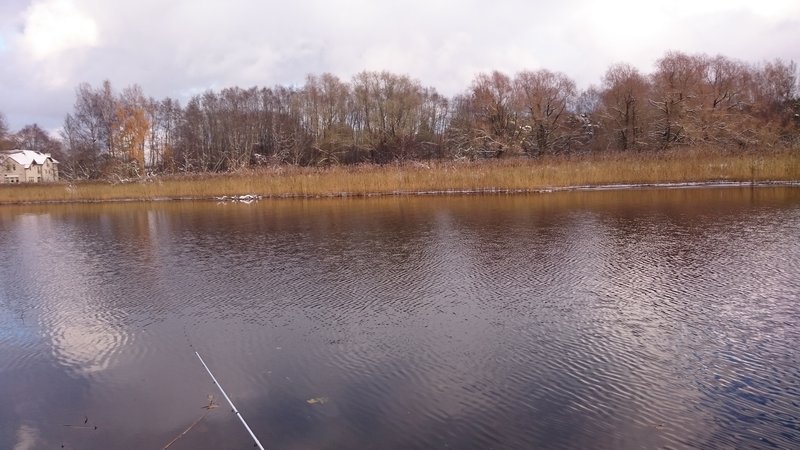 DSC_0083.JPG
