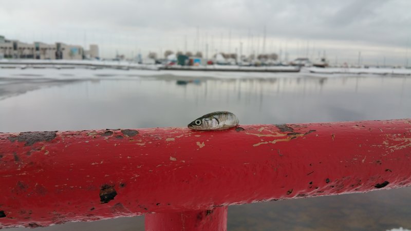 20161112_132313.jpg