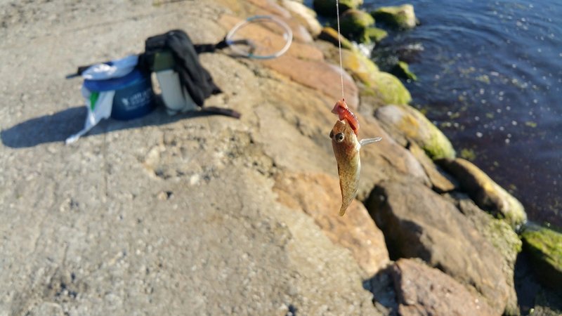 20160927_152949_022-01.jpg