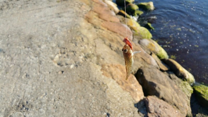 20160927_152949_022-03.jpg