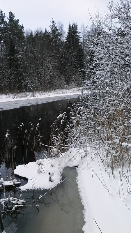 20161203_095159.jpg