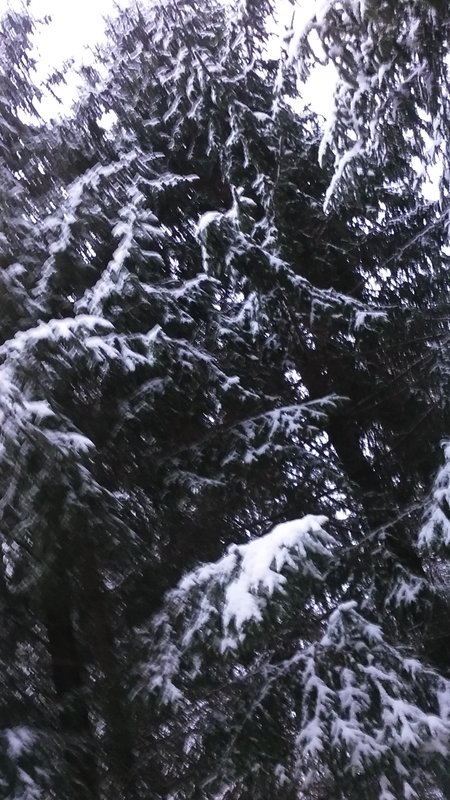 20161203_090815.jpg