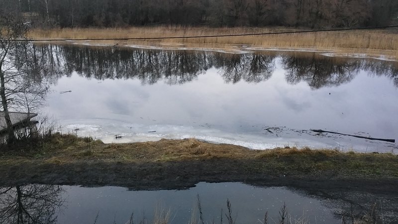 20161209_120209.jpg