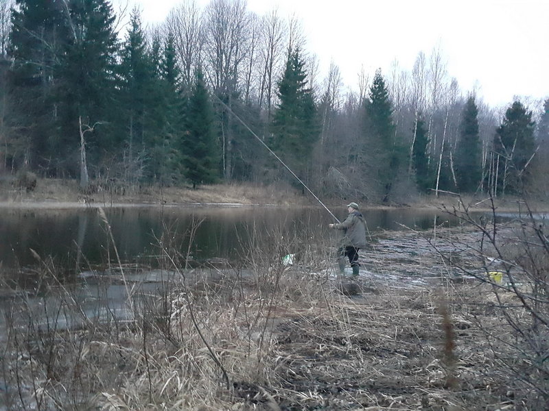 20161231_085701.jpg