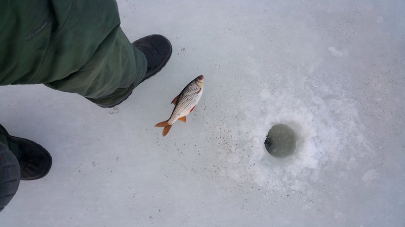 20170127_145449-01.jpeg