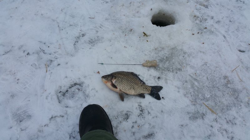 20170211_130812.jpg