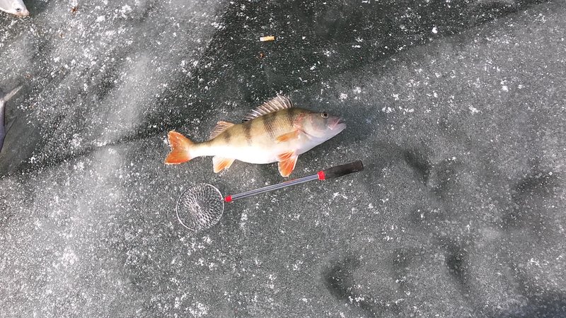 20170221_141519.jpg