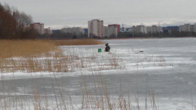 20170313_140151.jpg