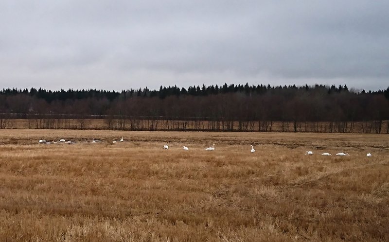 DSC_0078.JPG