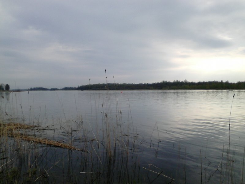 DSC_0052.jpg